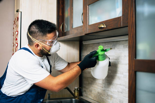 Best Exterminator Services  in Sardis City, AL