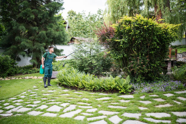 Best Best Pest Control Companies  in Sardis City, AL