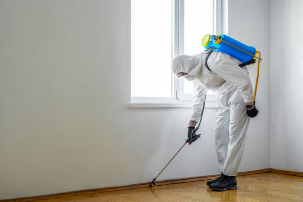 Best Wasp Removal Services  in Sardis City, AL