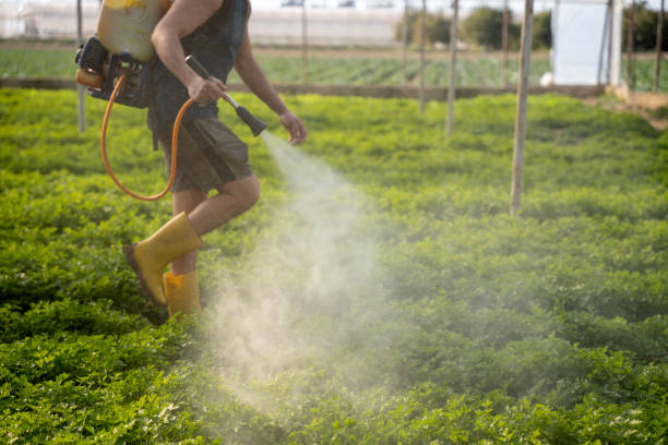Best Best Pest Control Companies  in Sardis City, AL