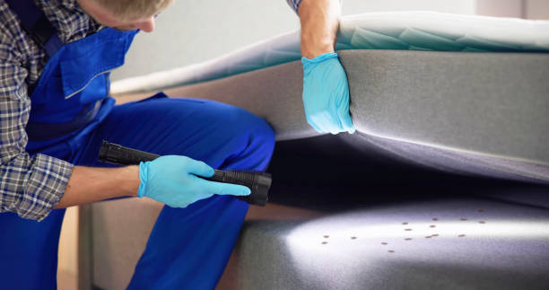 Pest Control Cost in Sardis City, AL
