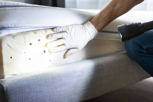 Best Pest Removal Services  in Sardis City, AL