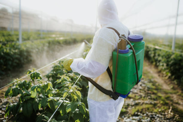 Best Pest Removal Services  in Sardis City, AL